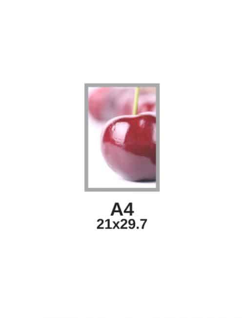 שילוט ג'ל – A4 עם 4 מסגרות
